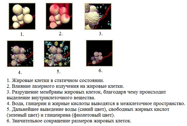 тмд650 2.jpg тмд650 2.jpg