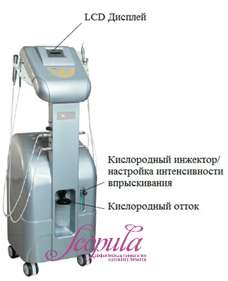 G228A 2.jpg